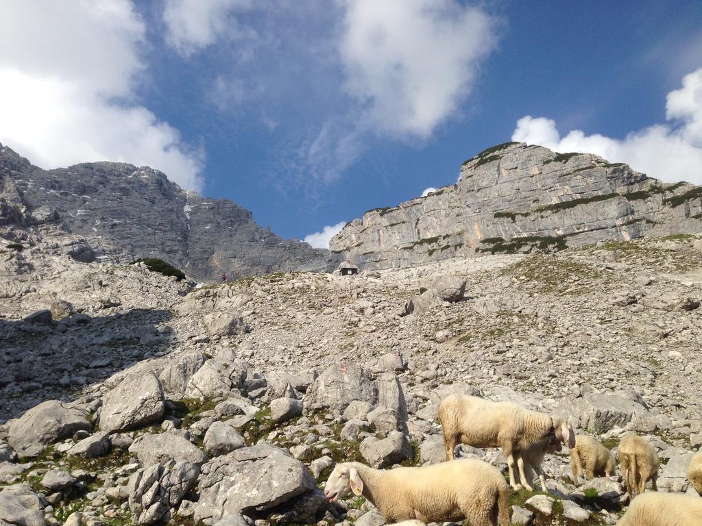 Alte Zimmerei - Lofer Exteriör bild